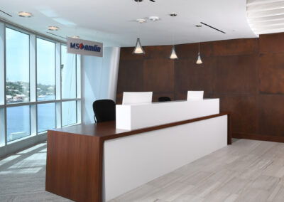 MS Amlin